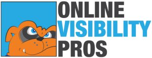 Online Visibility Pros Maxx Logo