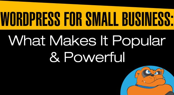 WordPress For Small Business: What Makes It Popular & Powerful